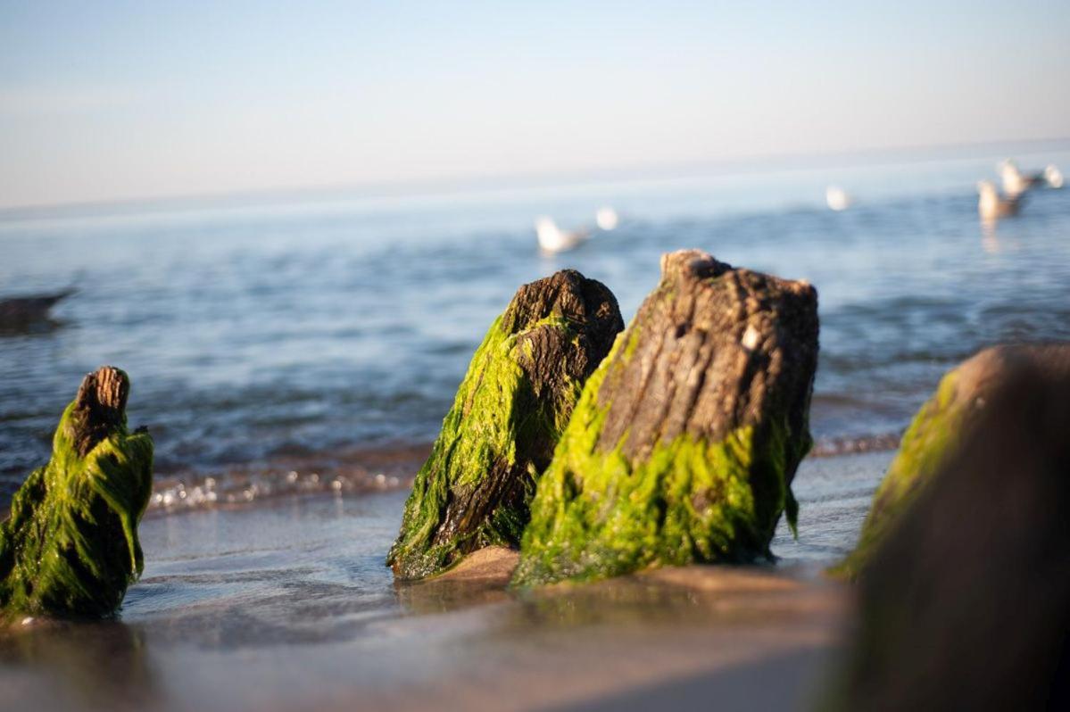 Hotel Jantar Wellness & Spa Ustka Bagian luar foto